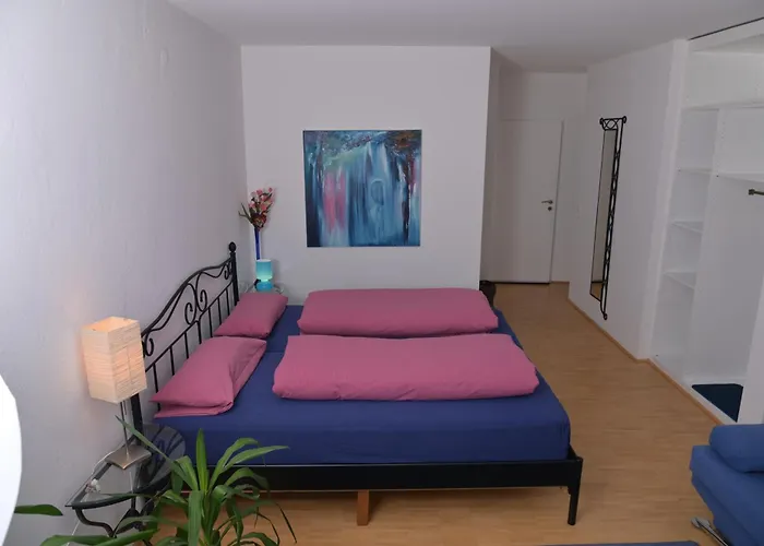 招待所 Bio-gaestehaus Rhoendistel 3*